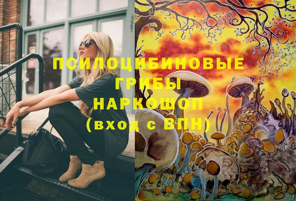 молекула духа Баксан