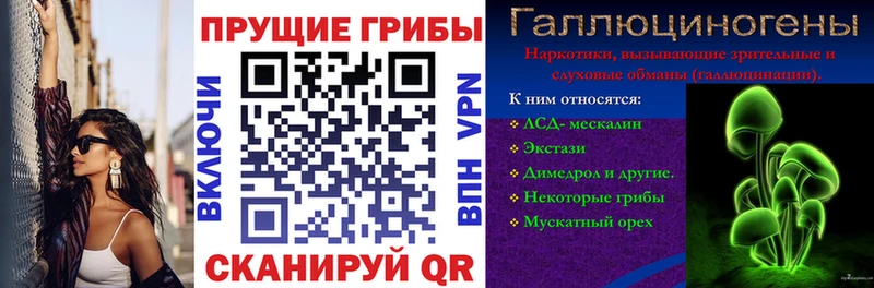 наркотики  Котельниково  Галлюциногенные грибы Magic Shrooms 